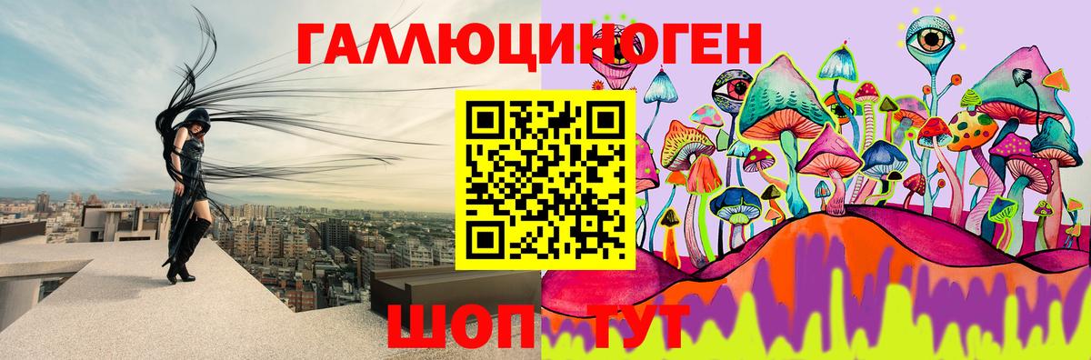 Железногорск  где купить наркоту  Вход с VPN  Галлюциногенные грибы прущие грибы 