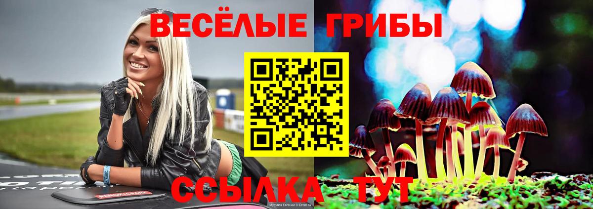 Псилоцибиновые грибы Psilocybe Железногорск