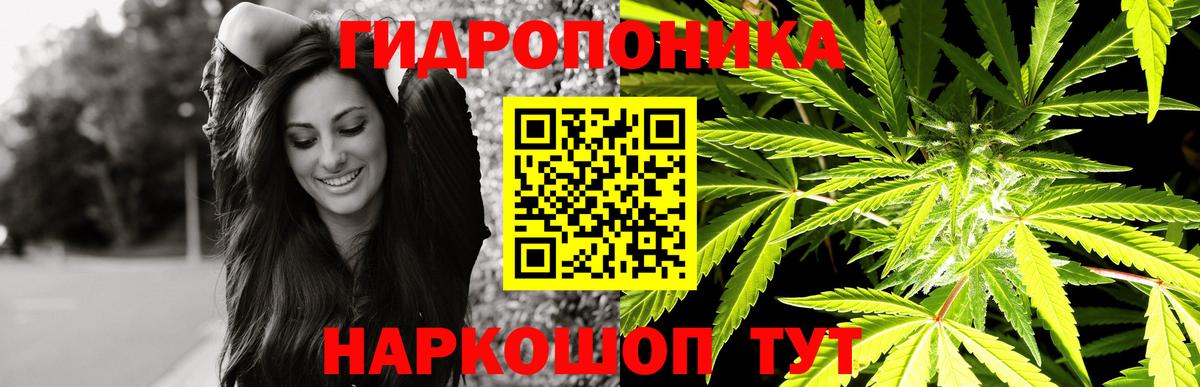 Конопля Amnesia Железногорск